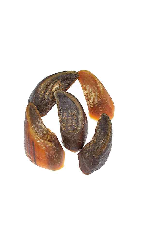 bully sticks dangerous