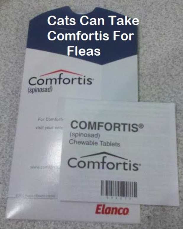 comfortis flea med