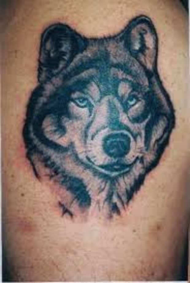 Wolf Tattoos: Designs, Ideas, and Meanings - TatRing