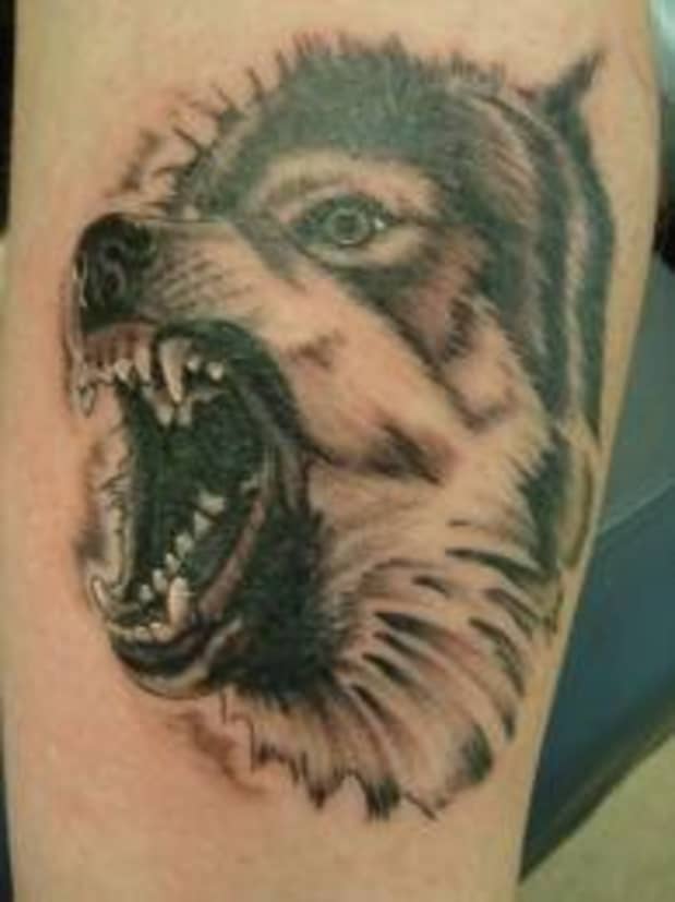 fierce wolf tattoo