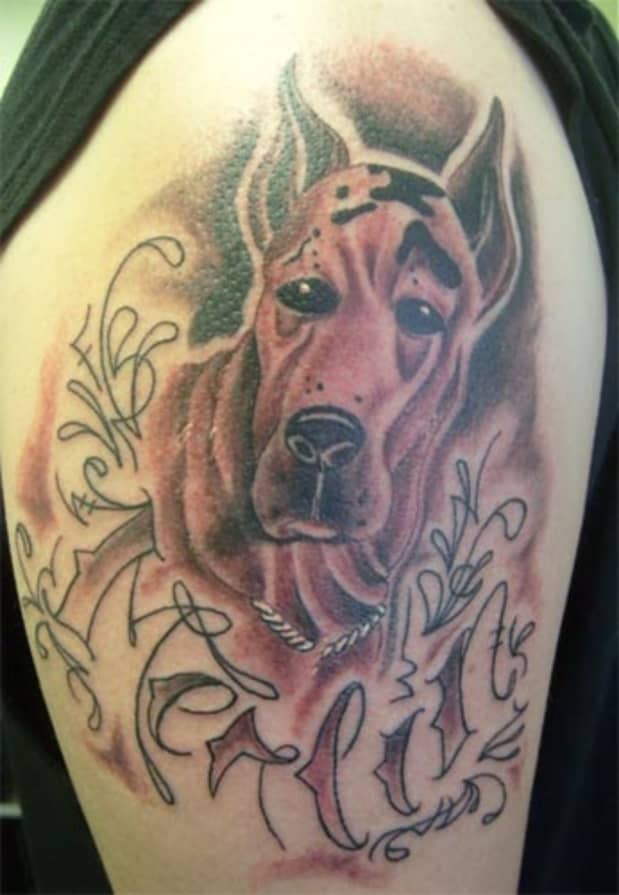 Animal Tattoos and Their Meaning (With Pictures) - TatRing