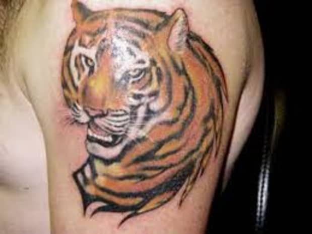 Tiger Tattoo Designs, Ideas, and Meanings - TatRing