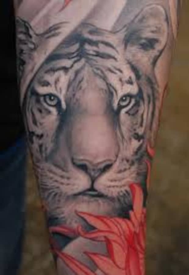 Tiger Tattoo Designs Ideas And Meanings Tatring