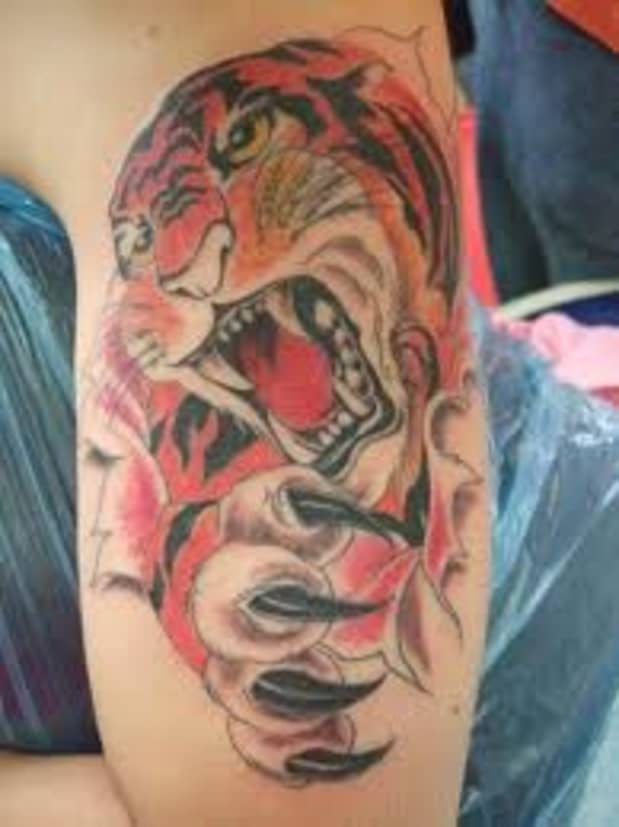 Tiger Tattoo Designs Ideas And Meanings Tatring