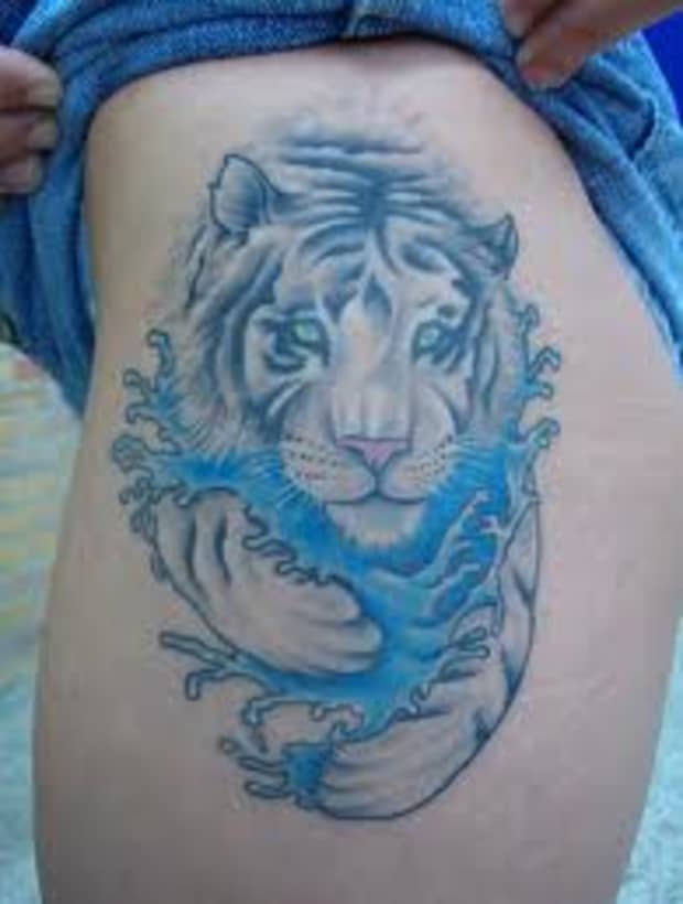 Tiger Tattoo Designs Ideas And Meanings Tatring