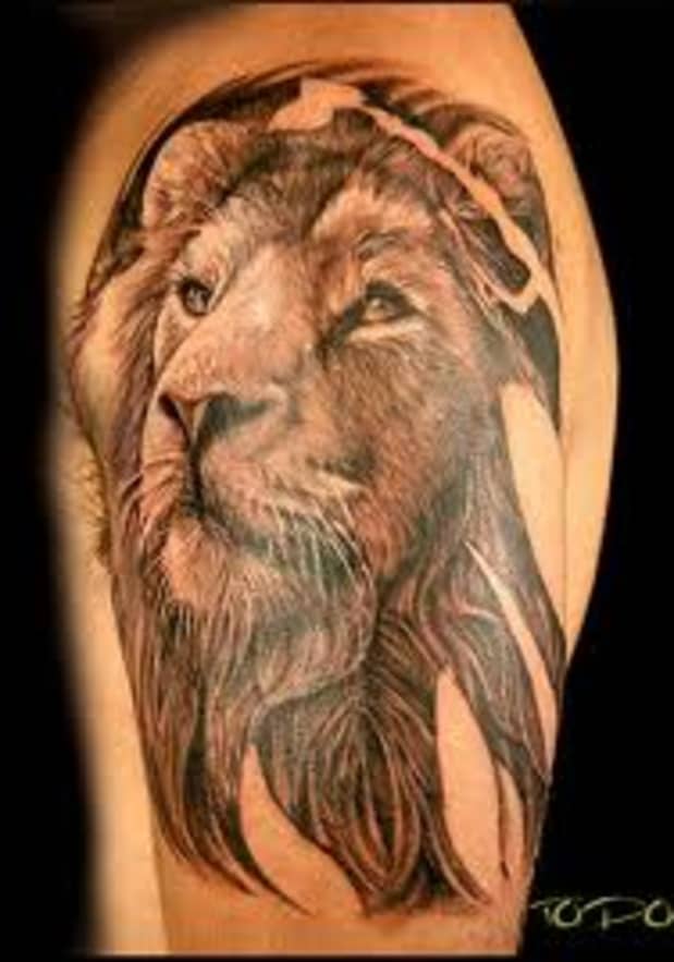 10 Celtic Lion Tattoo Designs  Ideas  PetPress