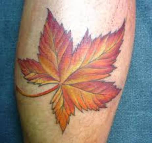 Maple Leaf Tattoo Meaning And Ideas For Men And Women 