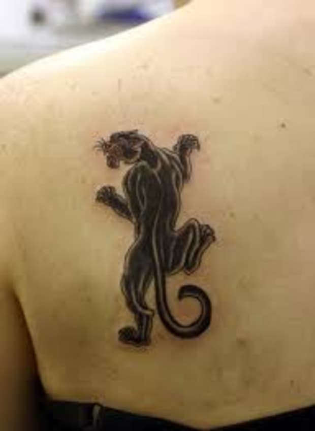 Panther Tattoo Designs And Meanings Tatring