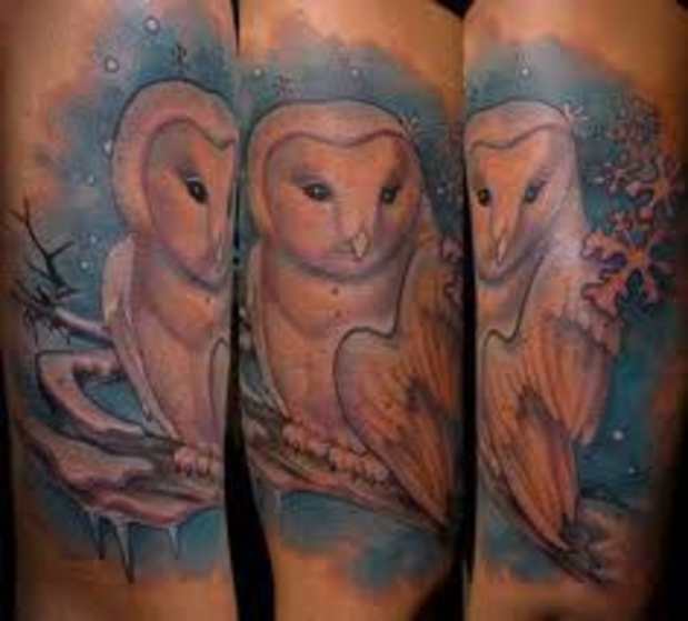 alkaline owl tattoo