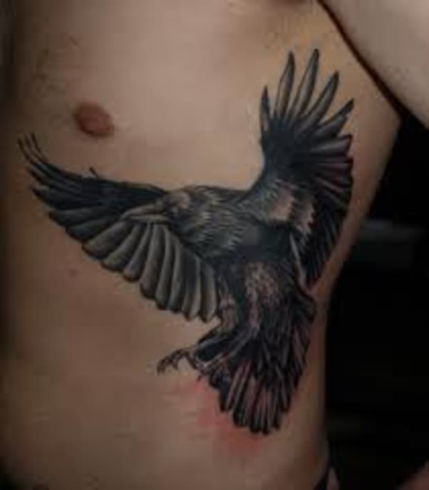 Raven Tattoo Meanings, Designs, and Ideas - TatRing