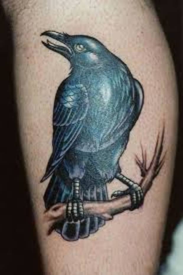 Raven Tattoo Meanings Designs And Ideas Tatring