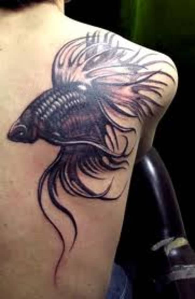 betta fish tattoo drawing