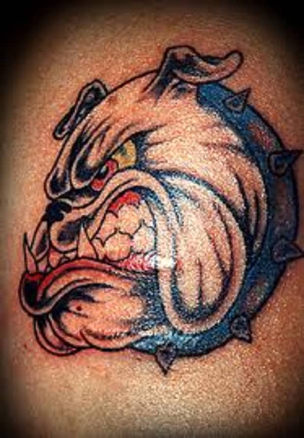 Bulldog Tattoo Designs, Meanings, and Ideas - TatRing