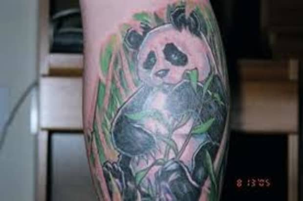 Inspiration, Ideas, and Meanings of Panda Bear Tattoos - TatRing