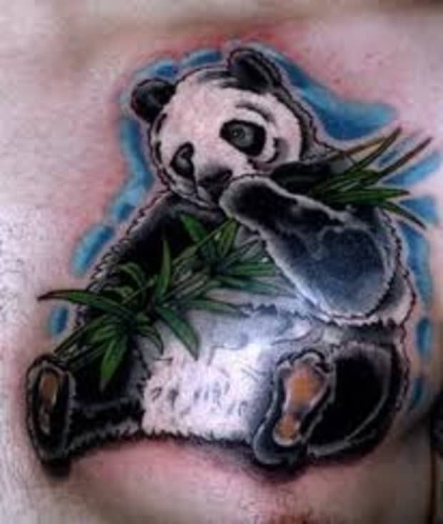 Panda Bear Tattoos Meanings Designs Pictures And Ideas Tatring