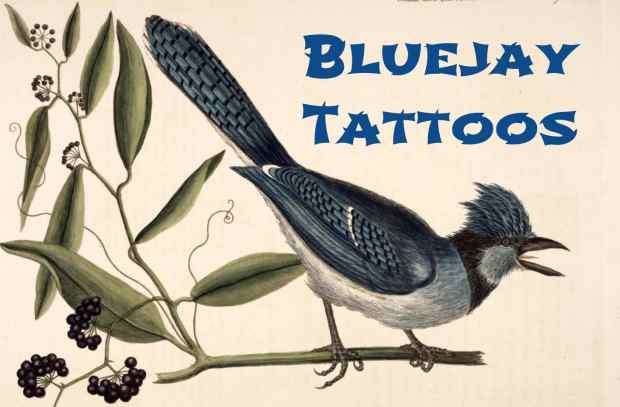 Blue Jay Tattoo Meanings Designs Tatring