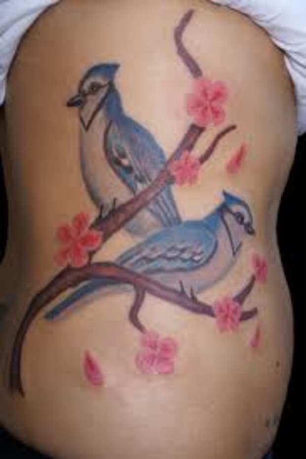 Blue Jay Tattoo Meanings Designs Tatring