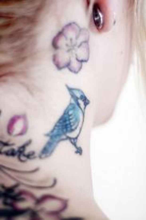 Blue Jay Tattoo Meanings Designs Tatring