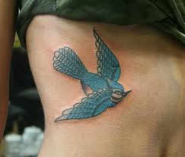 Blue Jay Tattoo Meanings Designs Tatring Blue Jay Tattoo Meanings Designs Tatring