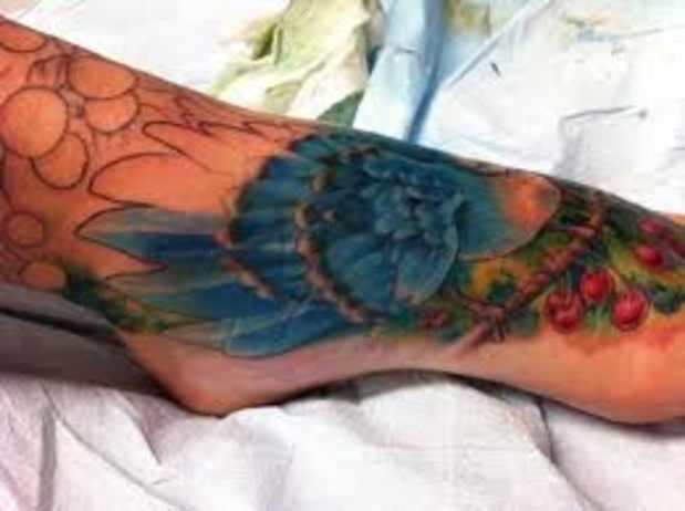 Blue Jay Tattoo Meanings Designs Tatring