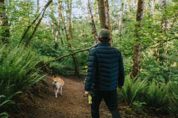 how to train your dog for hiking