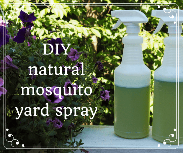 Homemade Organic Mosquito Yard Spray