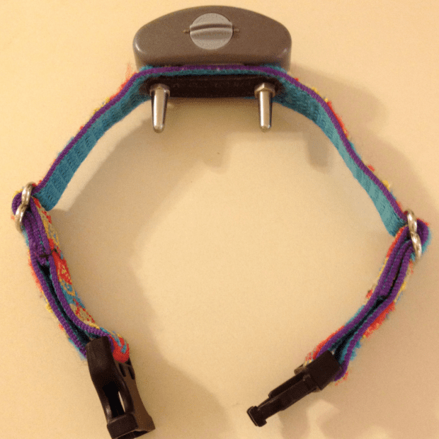 using a shock collar for training