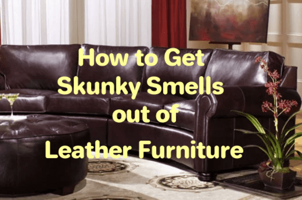 Stinky Smells Out Of Leather Furniture, Does Leather Furniture Hold Up To Dogs