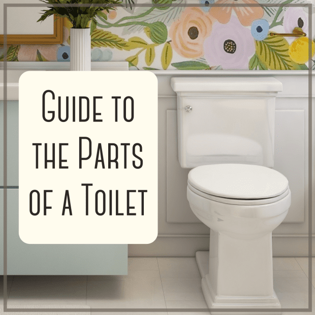 What Are The Parts Of A Toilet With Diagram Dengarden - What Is Another Name For A Bathroom