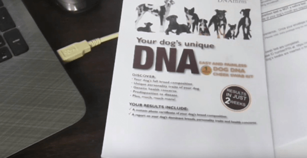 viaguard dog dna results