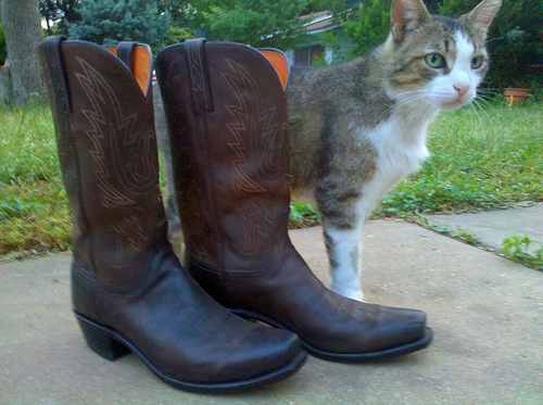 Cowboy Boots: An American Tradition