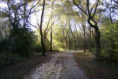 A walk in the park descriptive essay picture