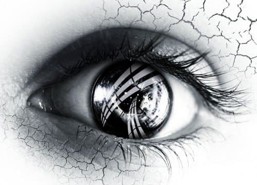 Our eyes are one of our main sources of perception and sensory information, helping us to understand our world through visual input.