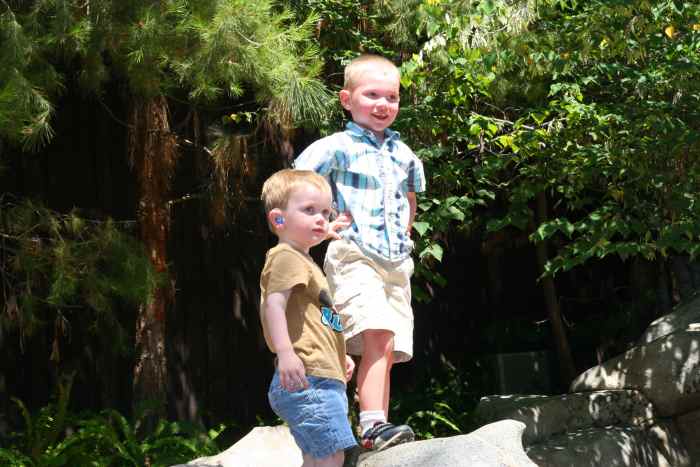 There are many areas young children may enjoy in the California Adventure park. The Redwood Creek Challenge Trail is a toddler favorite!