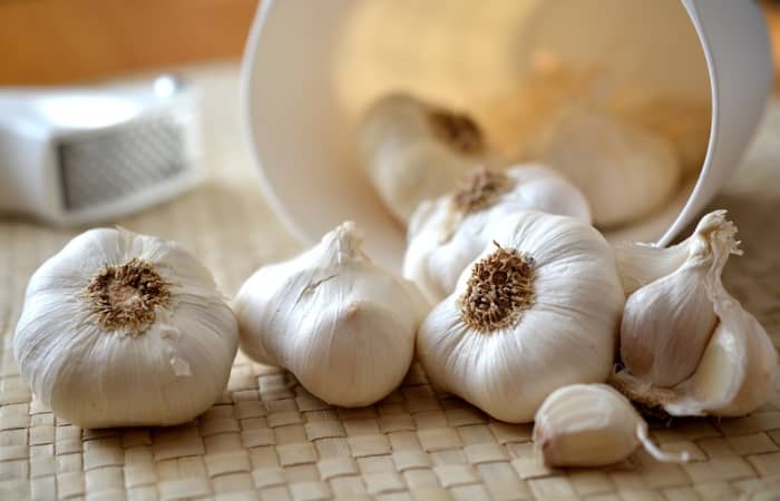How do you grow garlic at home? This article will teach you how to plant, grow, and harvest garlic like a pro.