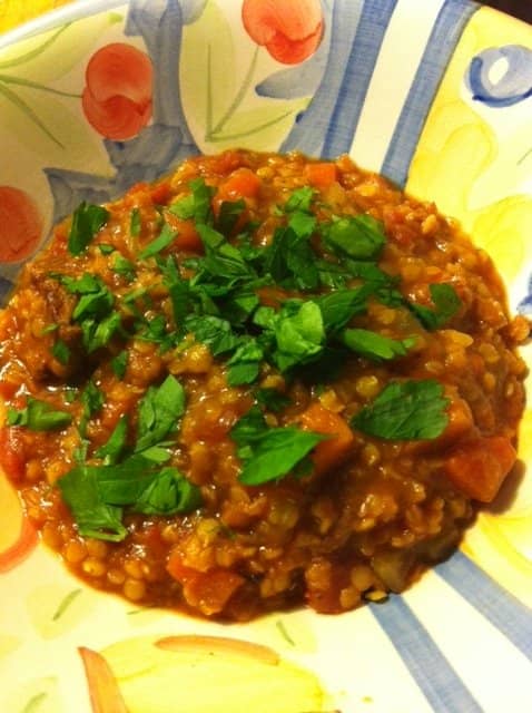 Slow-Carb, Slow-Cooker Beef and Lentil Stew - Delishably