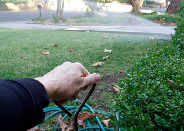 Turning sprinklers on by hand works only if you don't have very many. In this case, I open sprinkler valves in four different locations to water three lawns and two areas of trees with ground cover. It takes a long time to water everything.