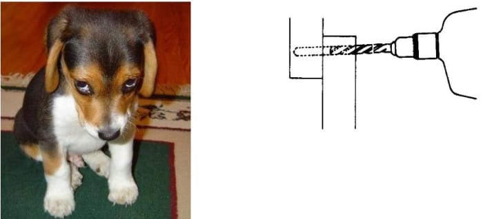 (L) Most dogs offer some protection. (R) Installing a "Nail Lock" in a window. The drill penetrates the inside sash and goes part way through the outer one.
