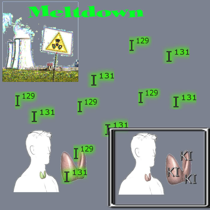 Potassium Iodide fills the thyroid gland, preventing the uptake of the radioactive form of Iodine. Click to enlarge.