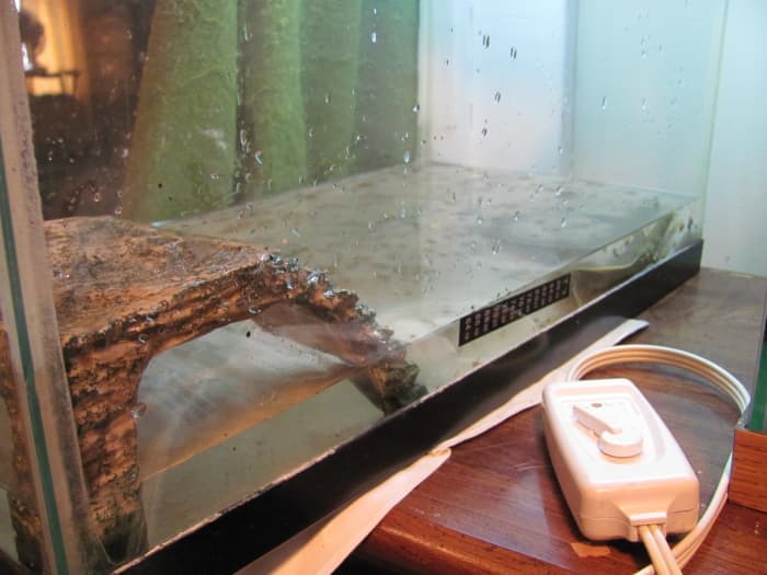 Example of the set-up. The aquarium is sitting on a heating pad, a thermometer is placed at the water level, and there's a little cave for him to hide under from the UVB light above.