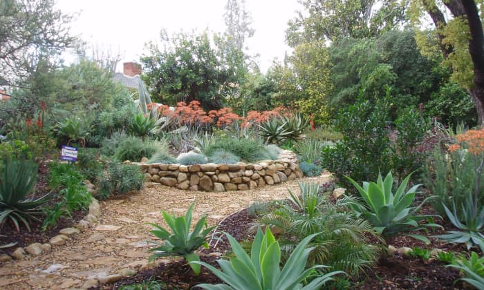 This sustainable landscape down the street from where I live has set the tone for the entire neighborhood. They were not the first to experiment, but they were the first to go all out, with stone walls and pathways completely replacing their lawn.