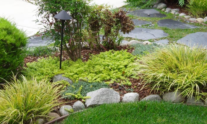This attractive little garden has a combination of softscape and hardscape, as most gardens do.