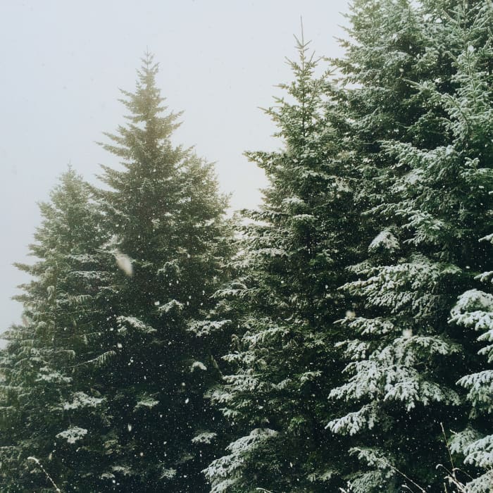 Yearning to get back to what Christmas is really all about? Here are some ideas to help you ditch the gift-giving stress and focus on what matters.