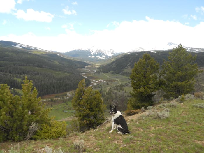 Taylor Fork camp site, Montana. This top-notch camp site comes with a view and plenty of wildlife.
