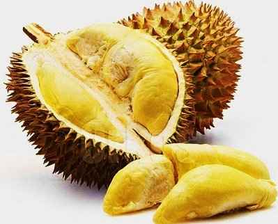 Durian fruit