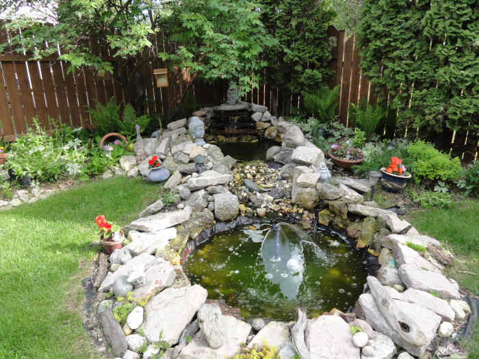Waterfall Meditation Pond - A DYI Project