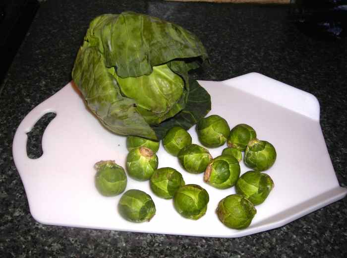 How to Cook Cabbage, Brussels Sprouts, Cauliflower, and Broccoli for