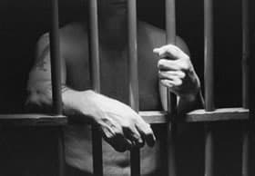 Do theories of criminal behavior help us to understand the causes of crime in our society?