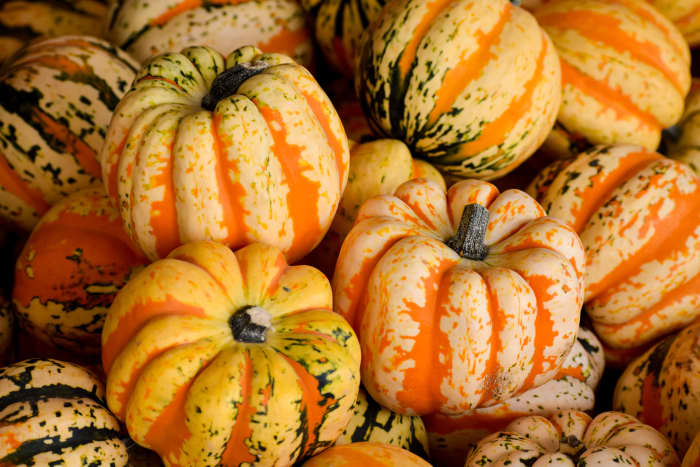 Pumpkins come in all shapes and sizes. These pumpkin-themed children's books will make a great addition to a fall curriculum.