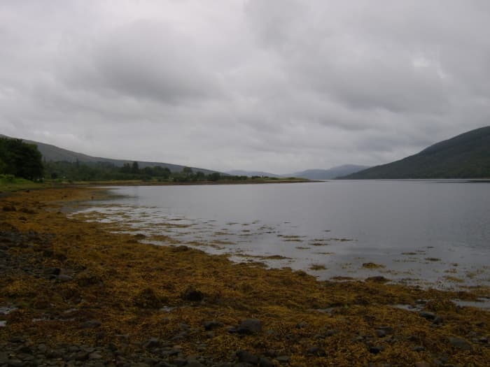 Looking down Loch Fyne towards Inveraray from the beach near Cairndow, on the south shore of Loch Fyne